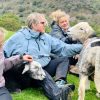 Herdwick Experience