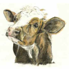 Nosy Cow