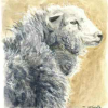 Yew Tree Farm Herdwick (Painting)