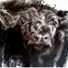Esps Calf