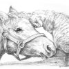Stable Mates