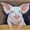 Piglet over Sty