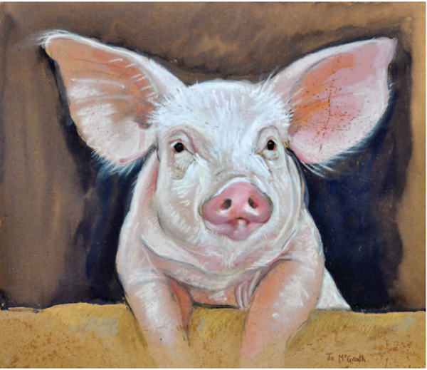 Piglet over Sty