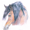 Milly's Portrait