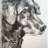 Lucy - Charcoal