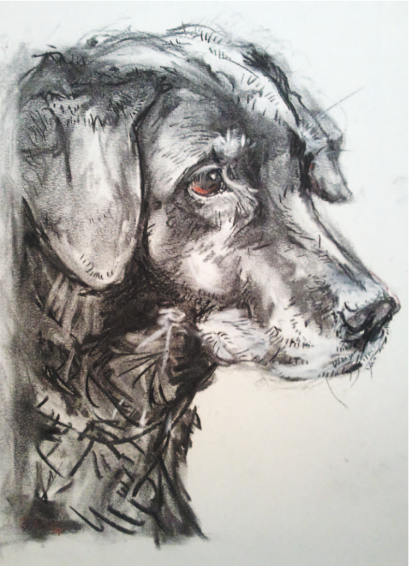 Lucy - Charcoal