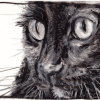 Thelma