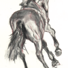 Dave Cantering away