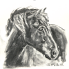 Iffor the Welsh Section C, Charcoal