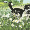 Dog in Daisies