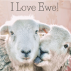 I Love Ewe!