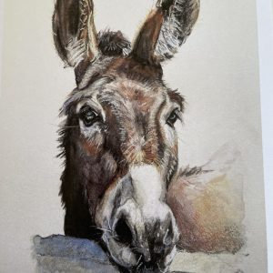 Donkey - (Brown)