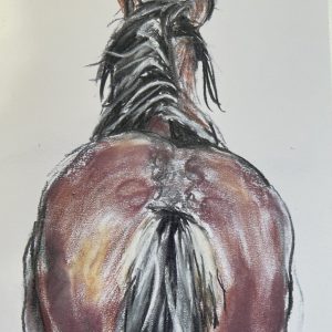 Milly's Rear View