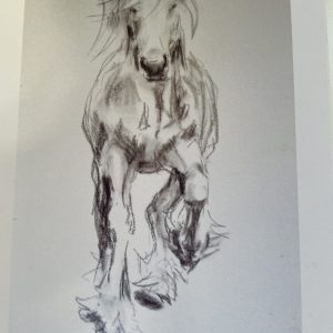 Galloping Fell