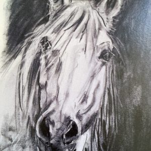 The White Horse - Charcoal