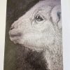 Lamb