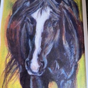 Green Pony