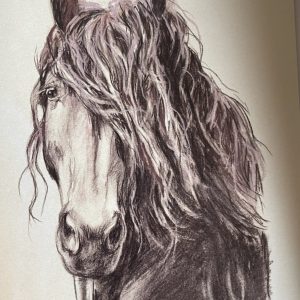 Purple Stallion