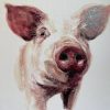 Stephen's Prize Winning Pig (Colour)