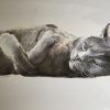Blue Cat (Ripley)