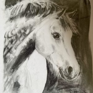 Dappled Welsh-Charcoal Horse