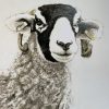 Arnold Lancaster's Swaledale Ewe