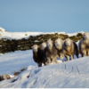 Winter Up Above