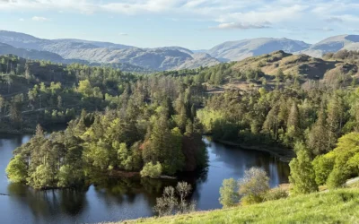 The Herdwick Integrative Brain Health Experience