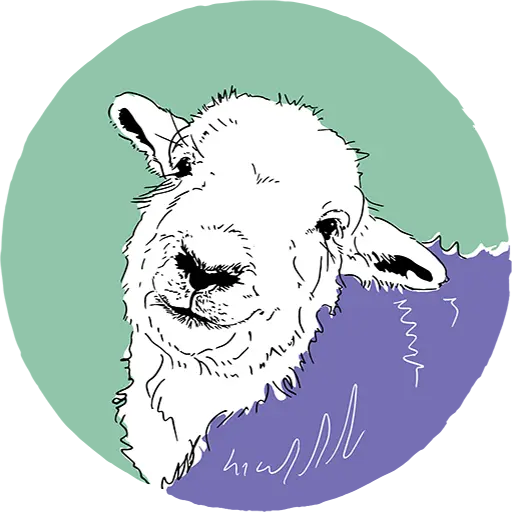 Herdwick Icon